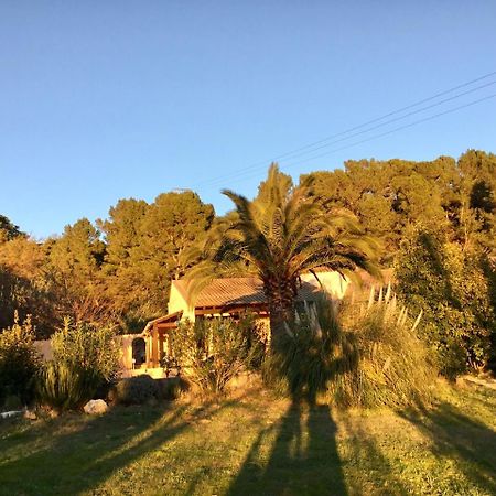 Schwanenvilla Paraza Esterno foto